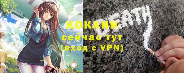 гашик Белокуриха
