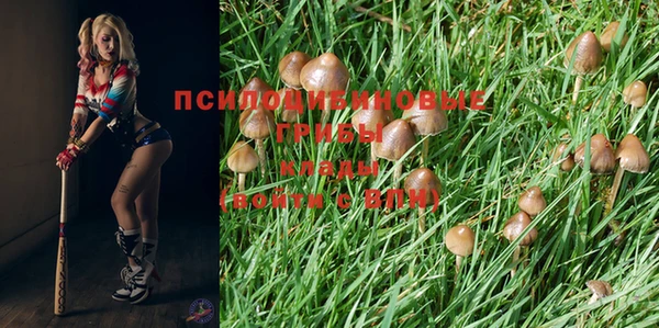 первитин Беломорск