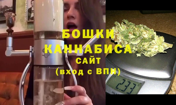 гашик Белокуриха