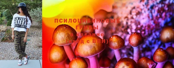 ГАЛЛЮЦИНОГЕННЫЕ ГРИБЫ Дмитровск