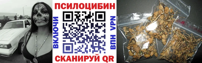Псилоцибиновые грибы Cubensis  Кунгур 
